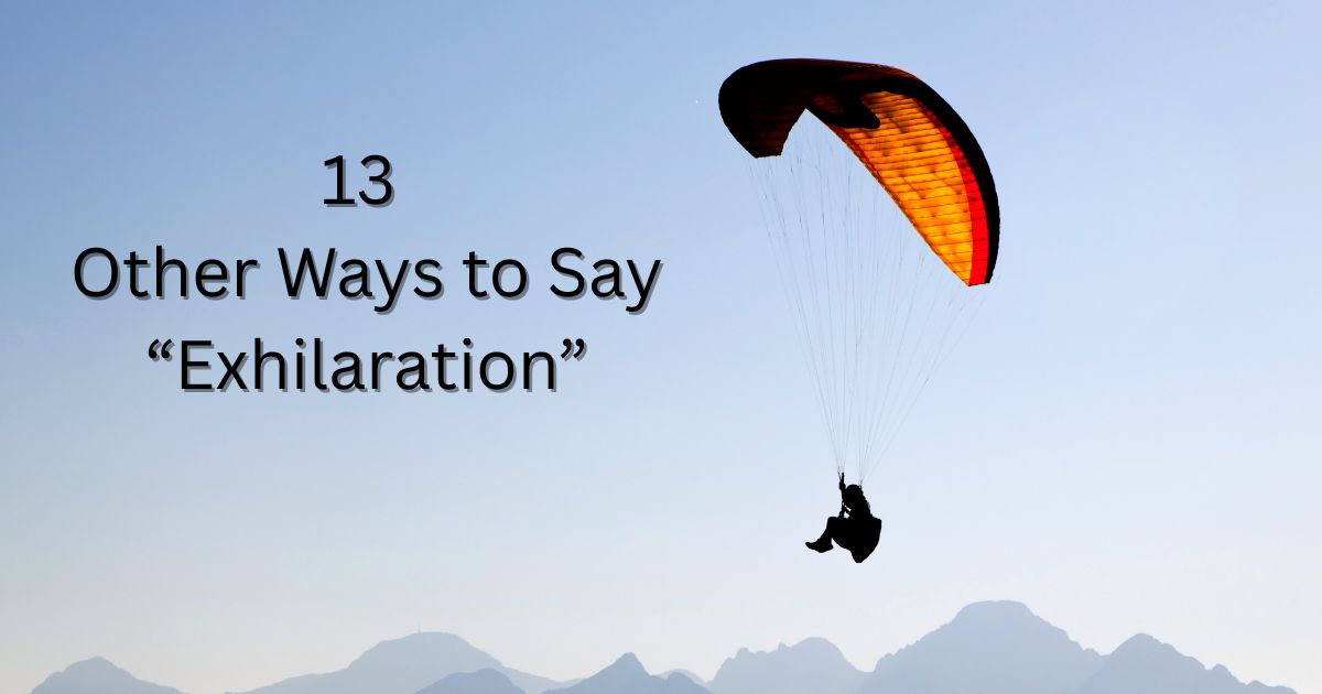 13 Other Ways to Say “Exhilaration”